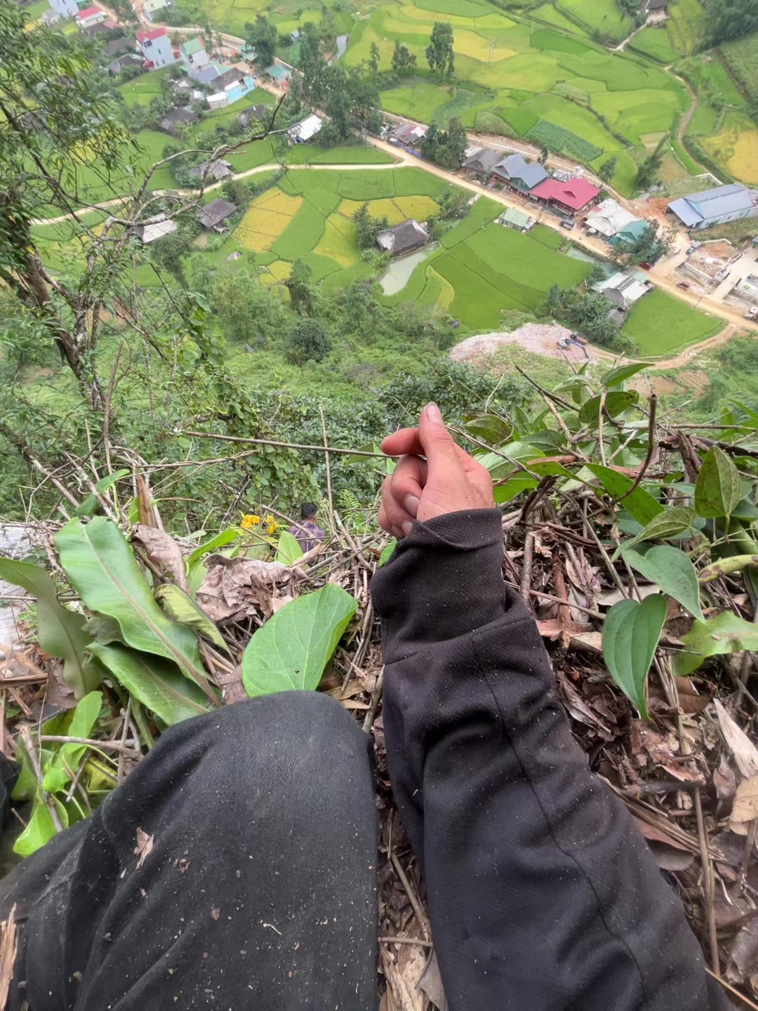 @L&Iacute;U  🇻🇳☣️