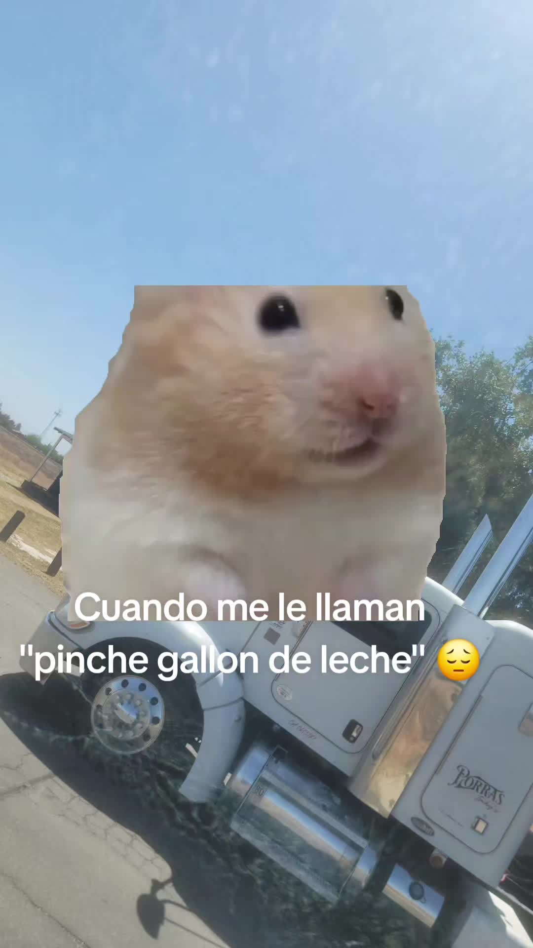 @fuckensebas