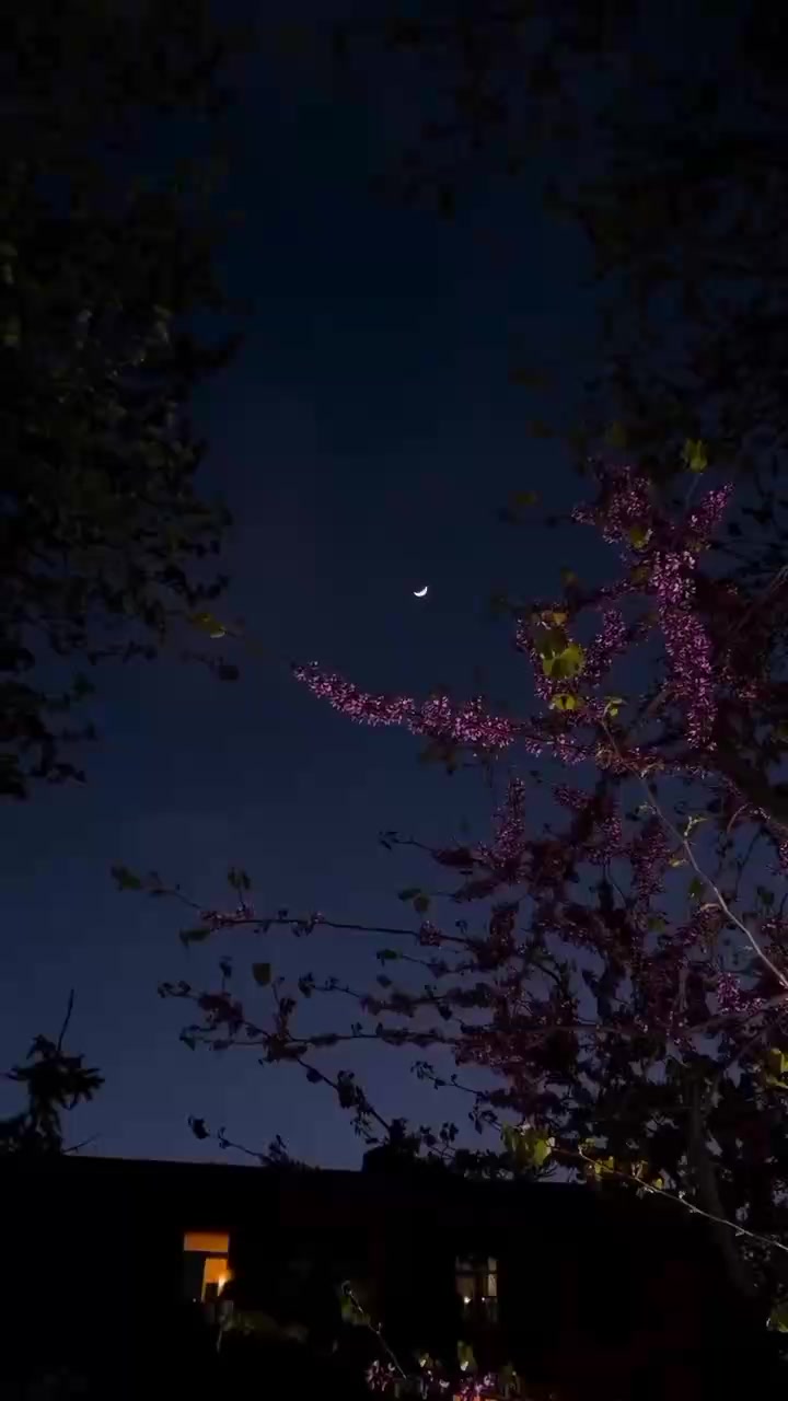 @𝐒ᡣ𐭩࣪⋆