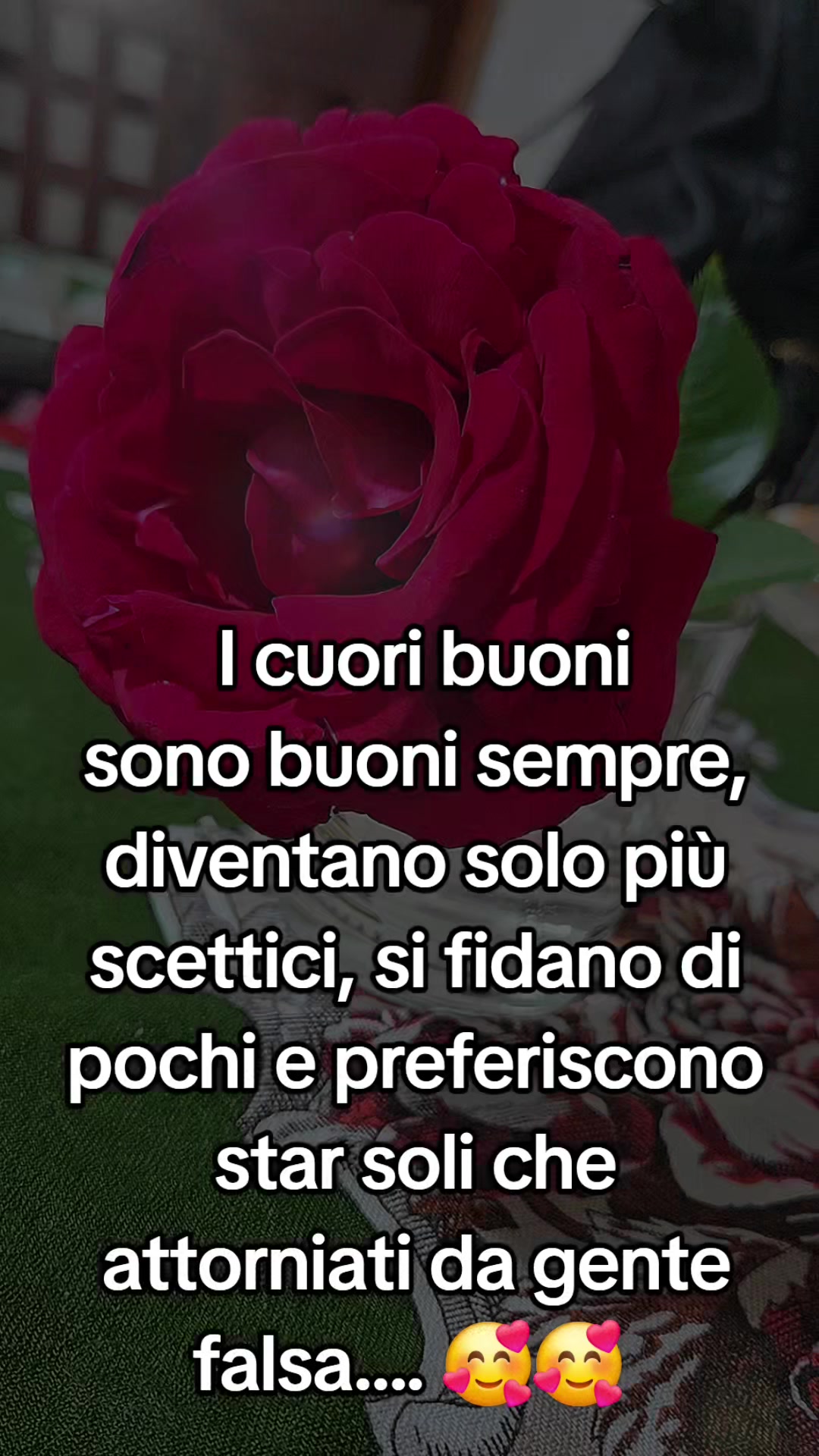 @Anima Nera