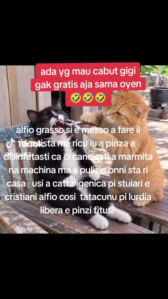 @giuseppeparisi957 Giuseppe