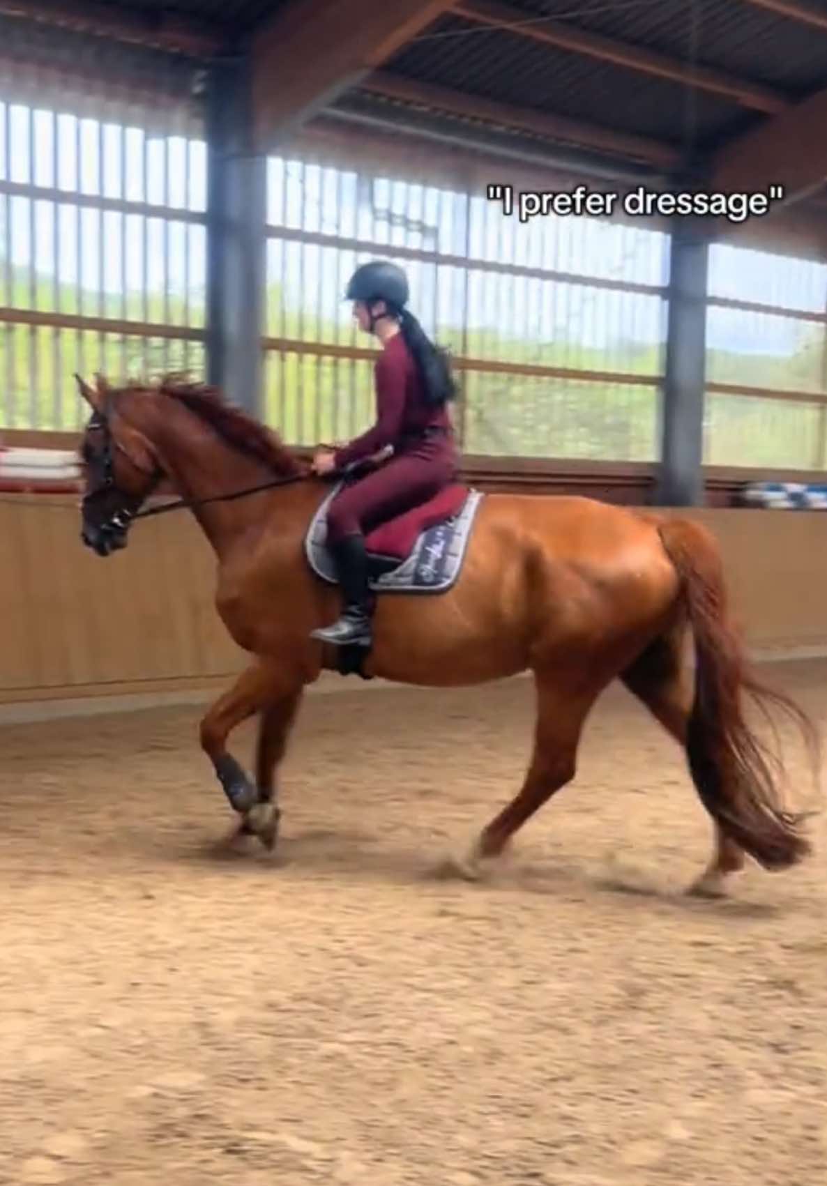 @annalisa.equestrian