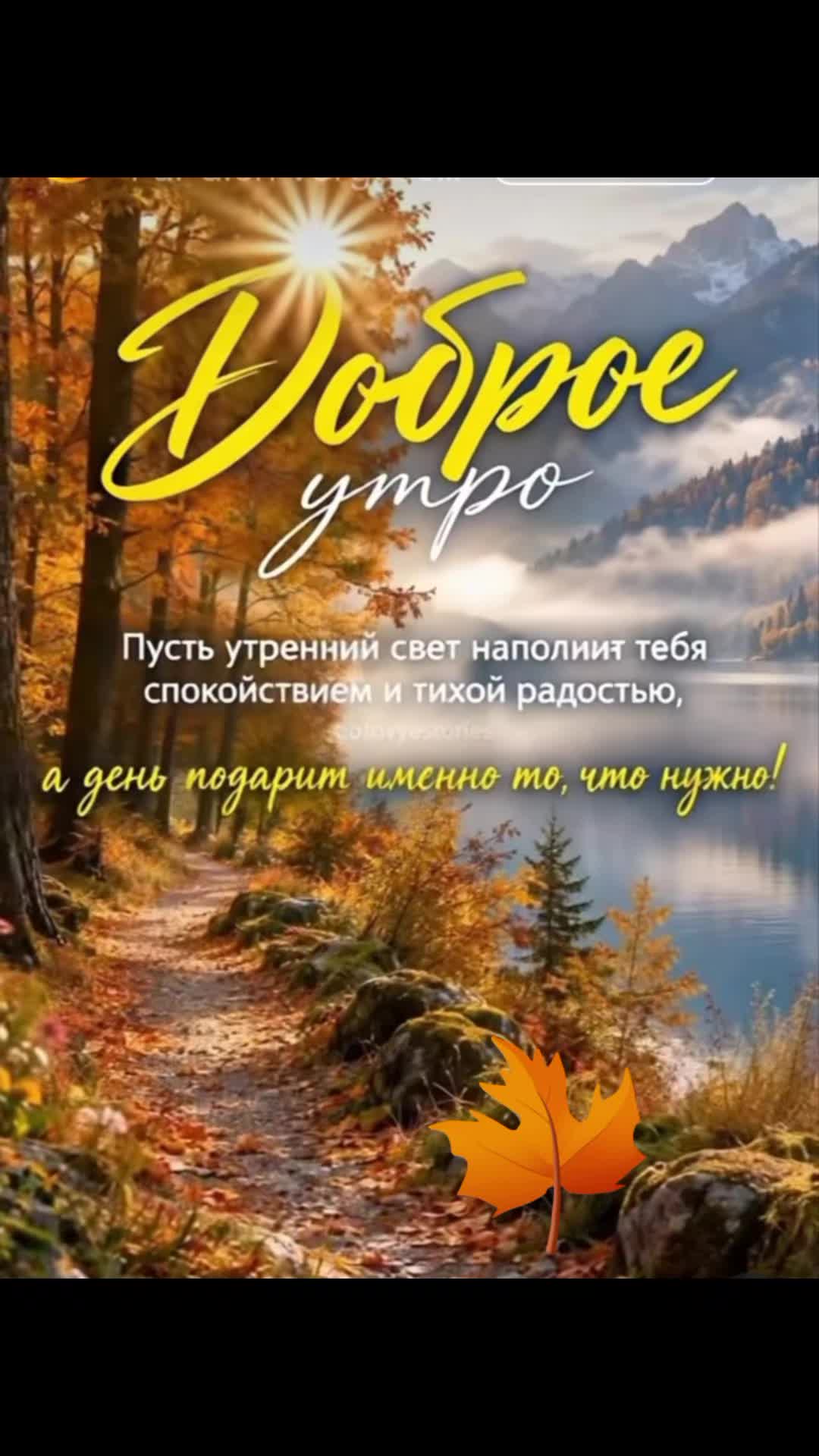 @Elena L885
