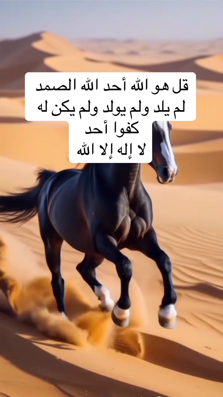 @El Hassane