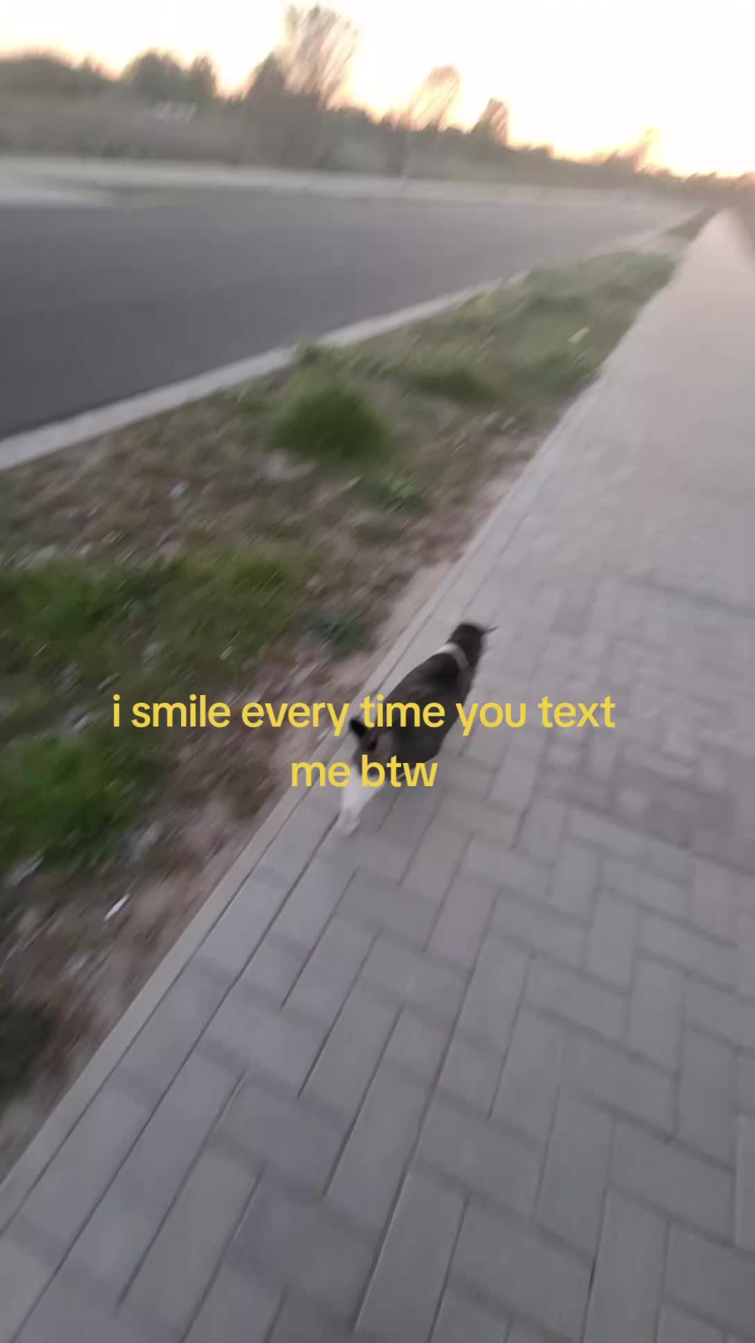 @suNNy
