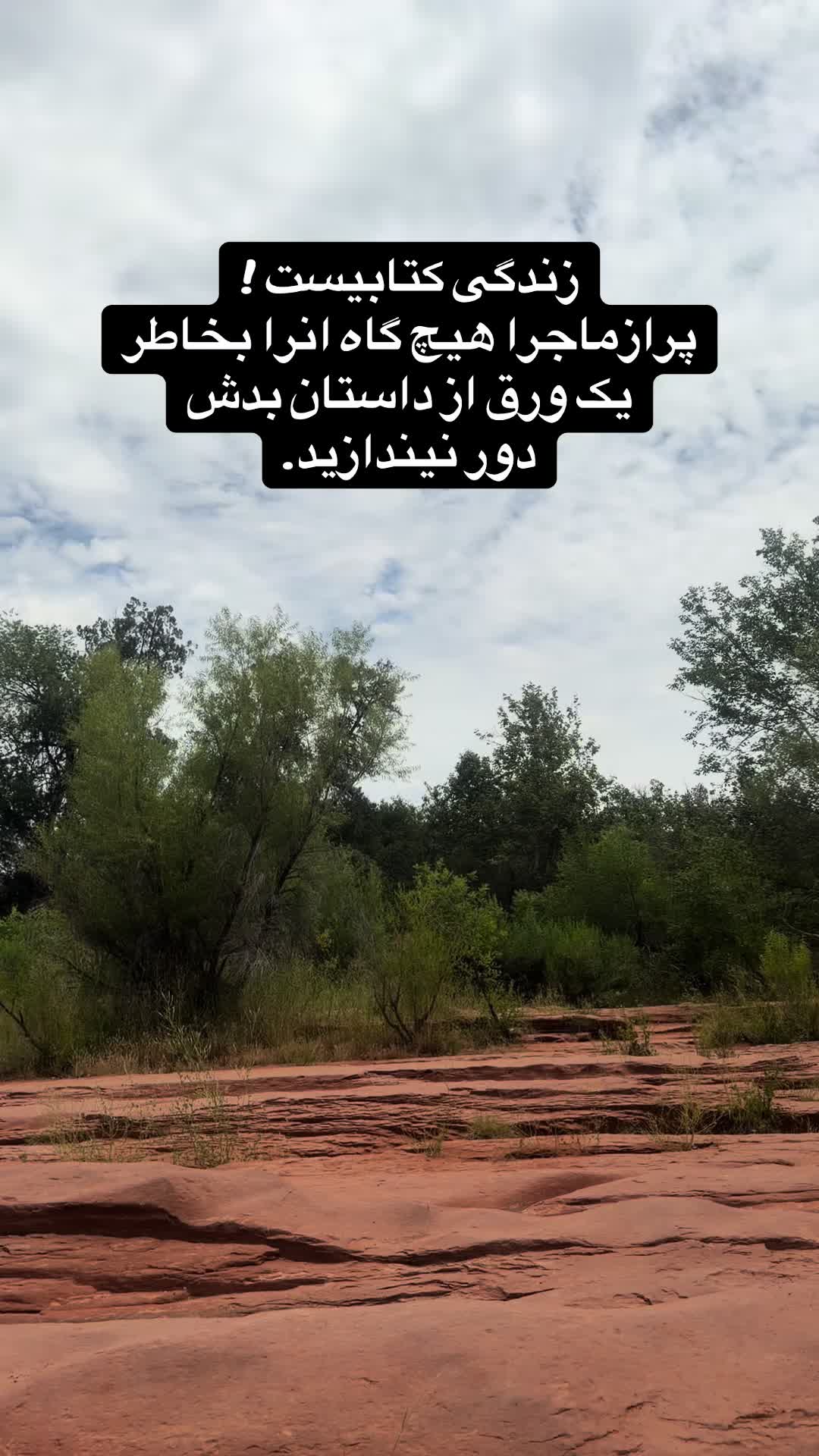 @Star🌟🇺🇸🇦🇫