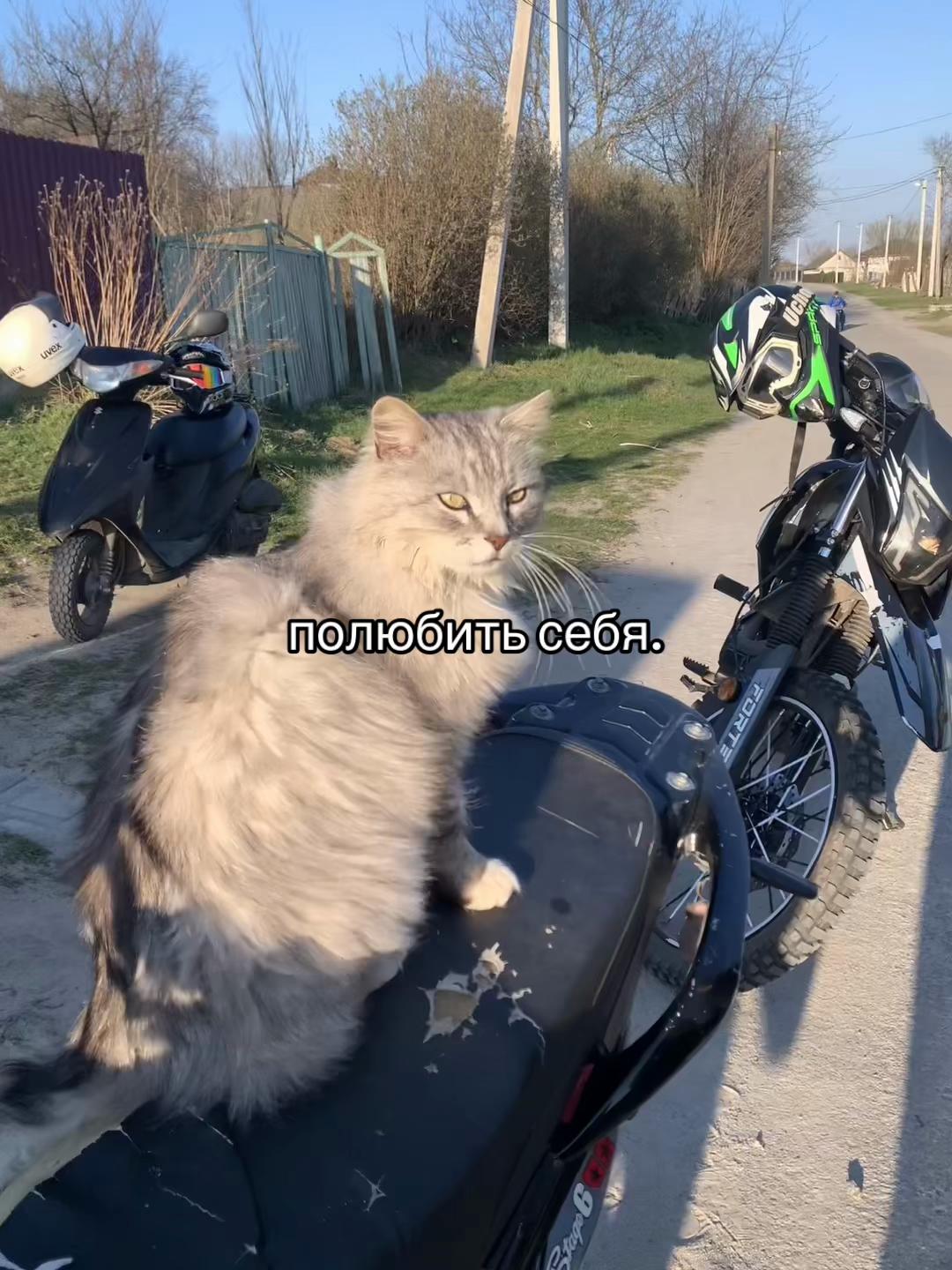 @repostikk__