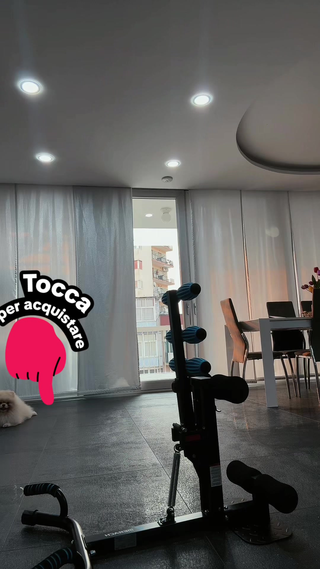 @mariaferrigno28