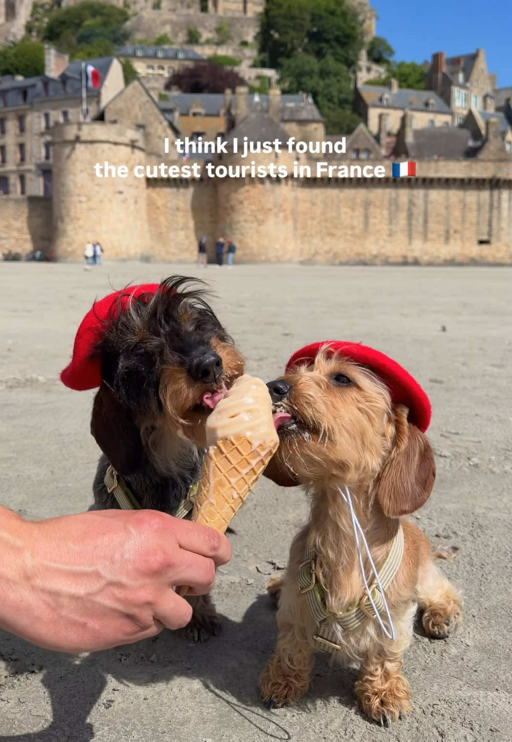 @lifeoflunabowie