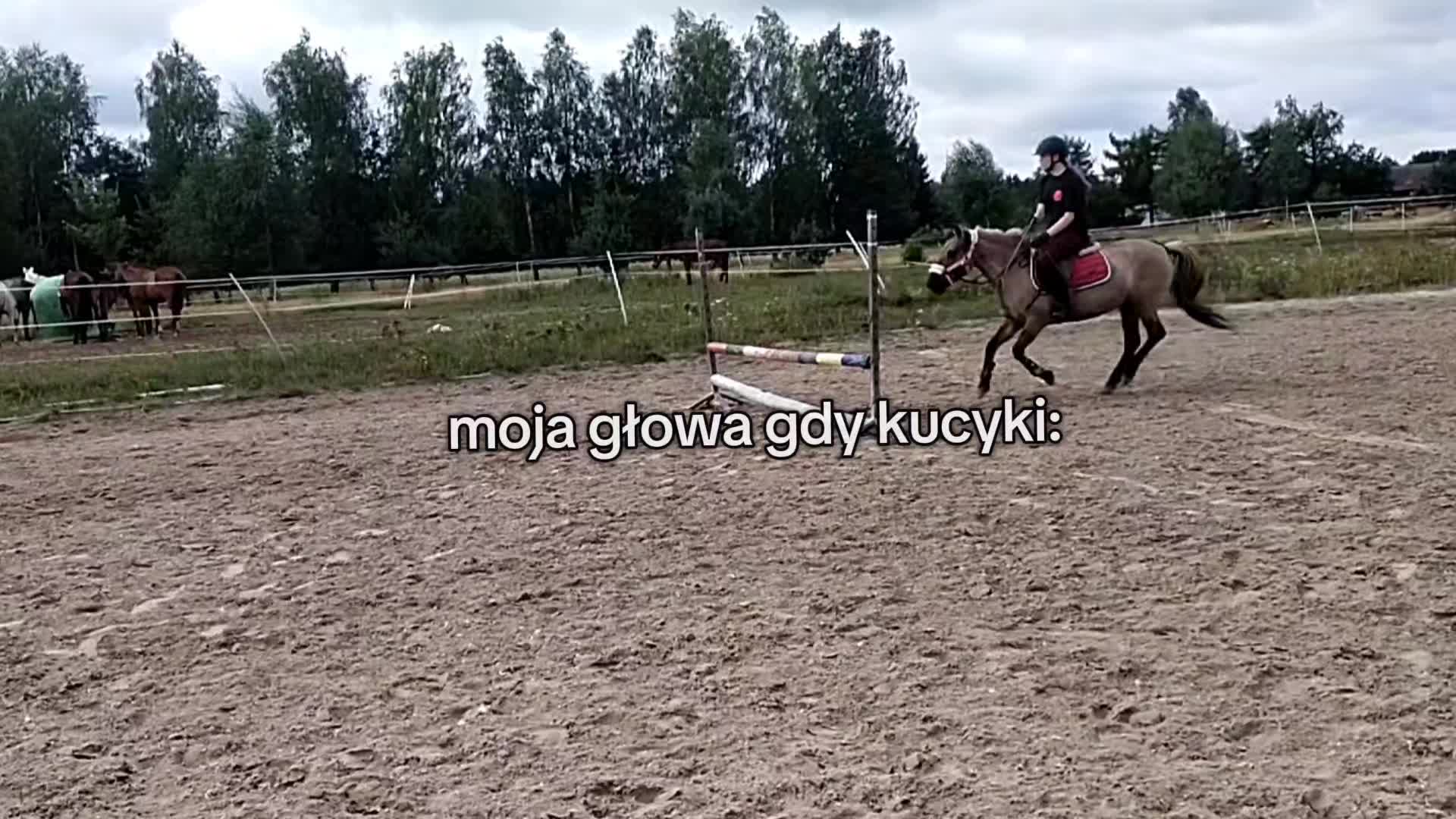 @jula.eq