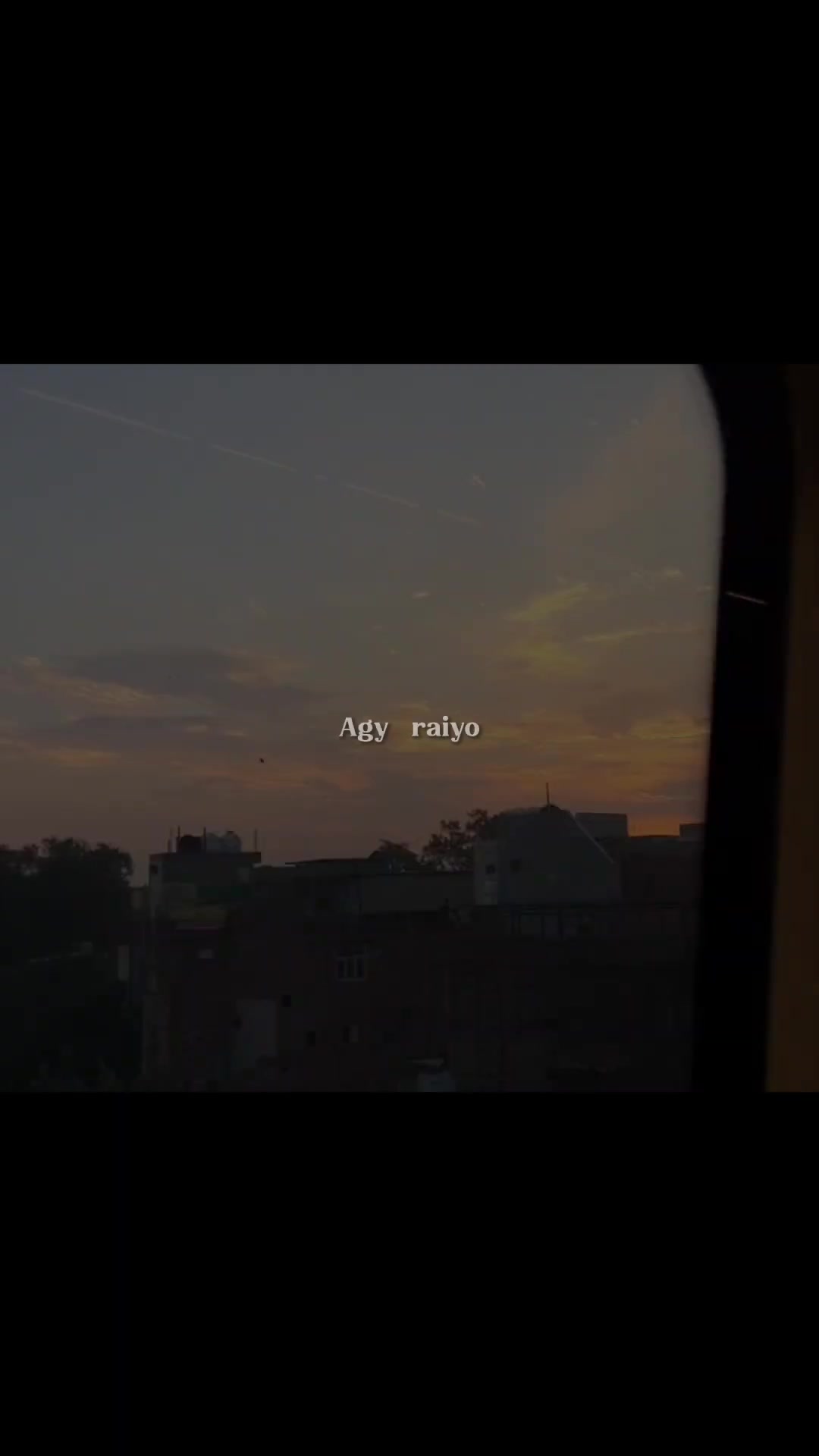 @🕊️