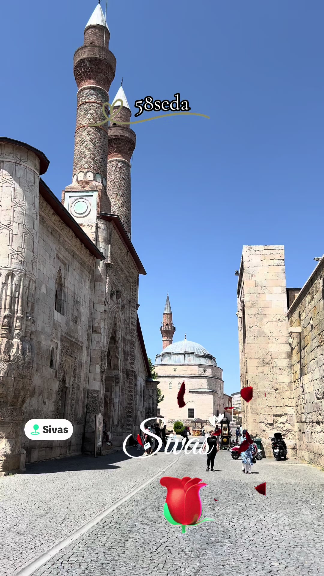 @58seda
