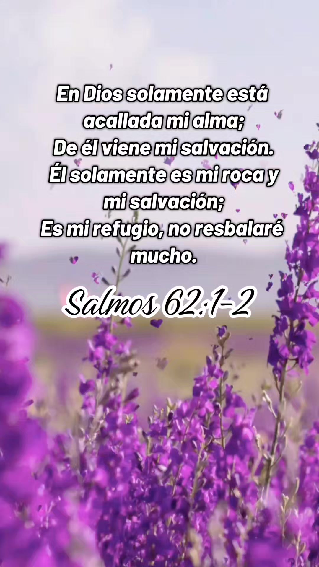@Perd&oacute;n y Vida