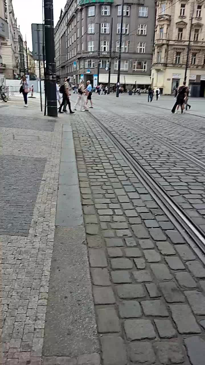 @mlchal