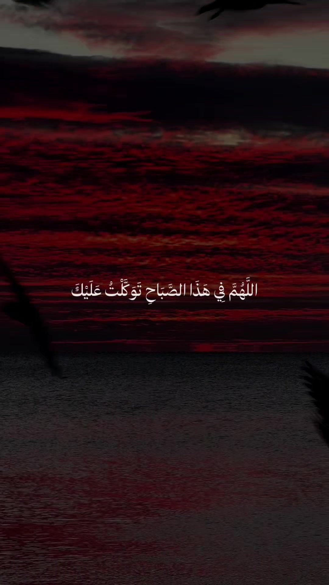 @❀ مُــسلم || 𝐌𝐔𝐒𝐋𝐈𝐌 ❀