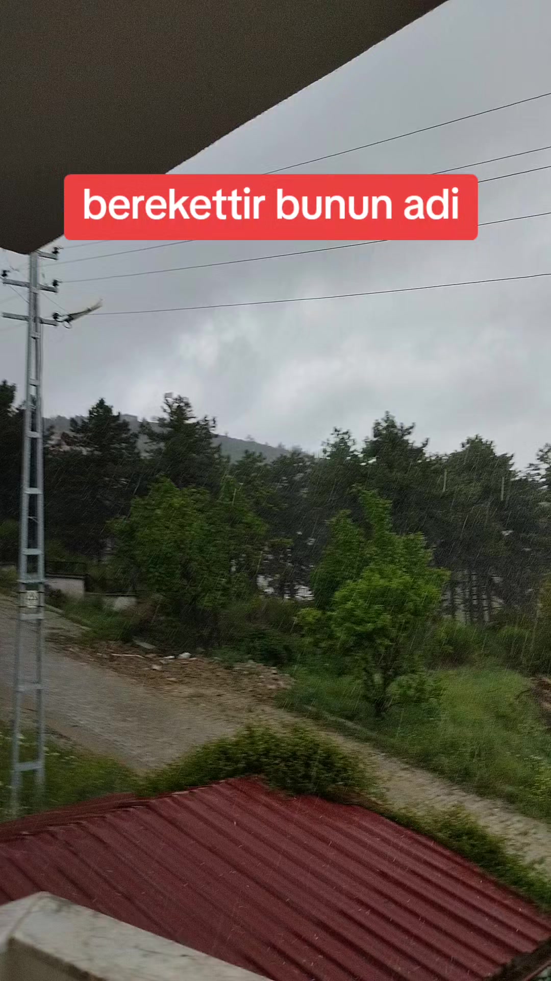 @☺️Farmasi Cemile damgacı🐟