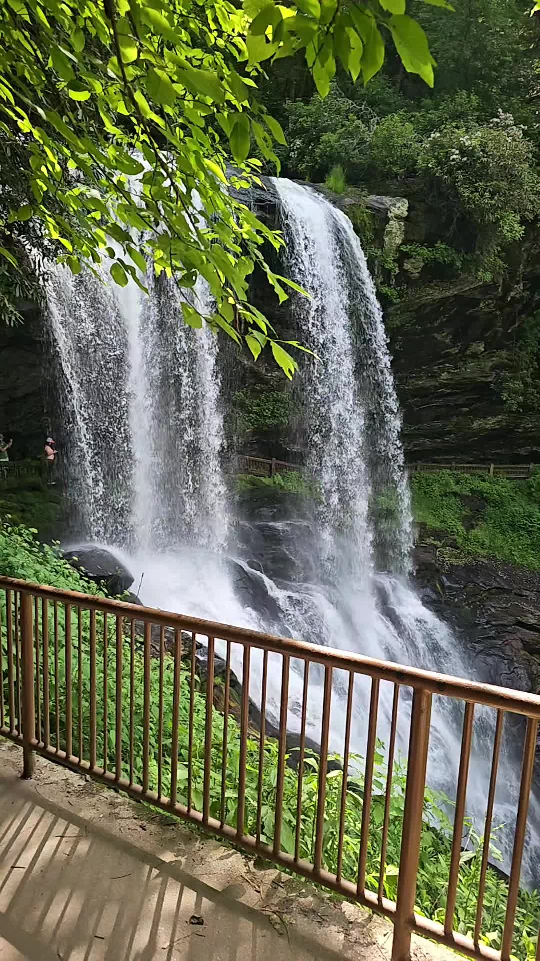 @Kat_💚the💦nature🌿lover💙