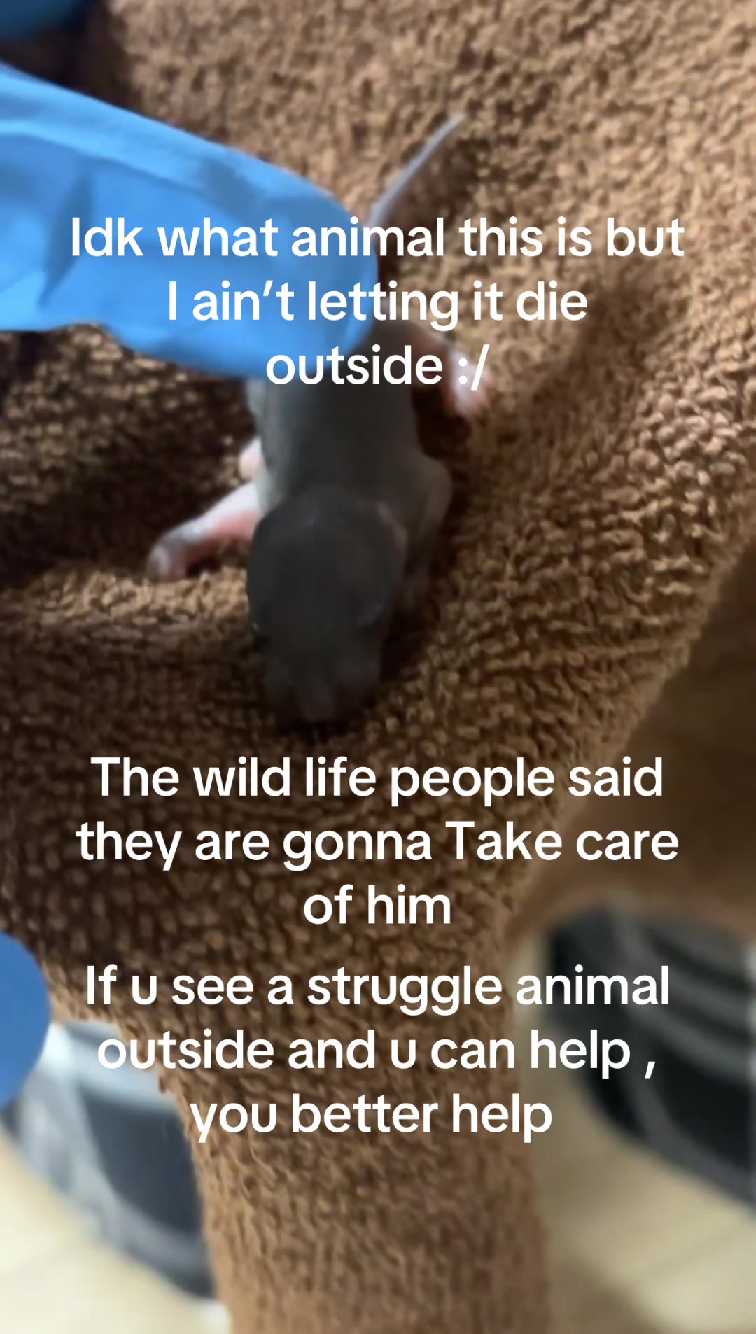 @Brian 🦇