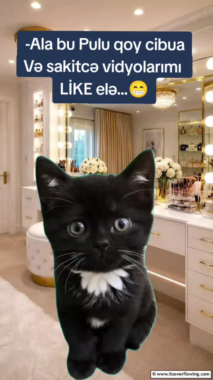@ArzuMMooD♑