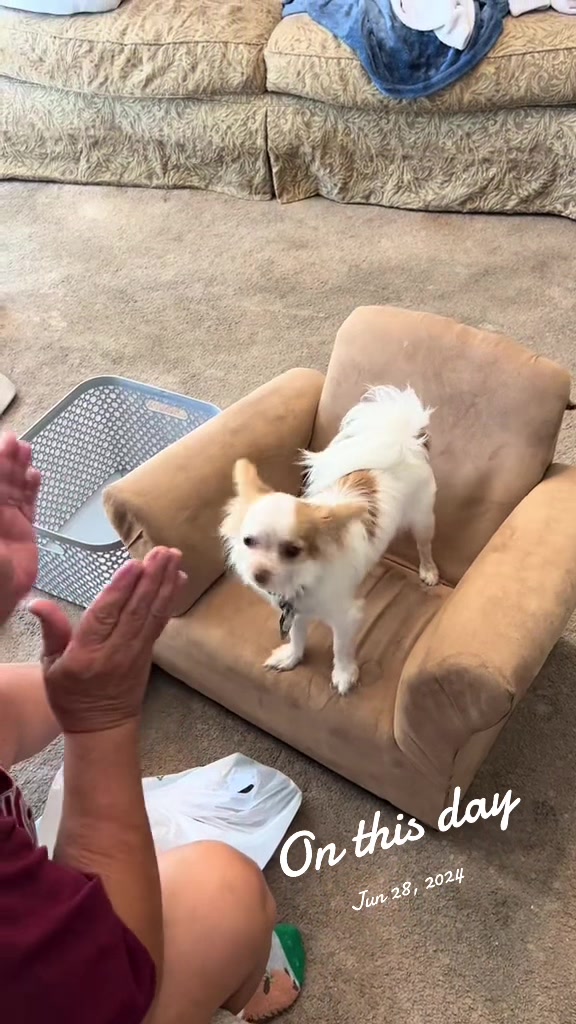 @sherrysmith540