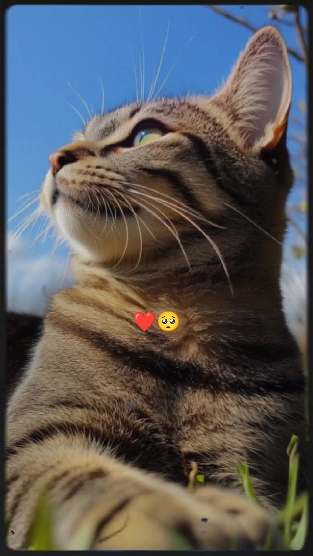 @☾♡KV☾♡
