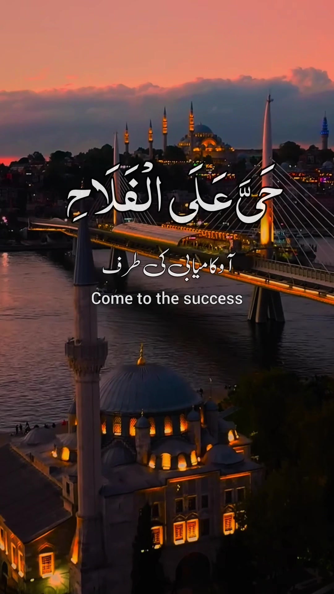 @❣️ Words of Allah ❣️