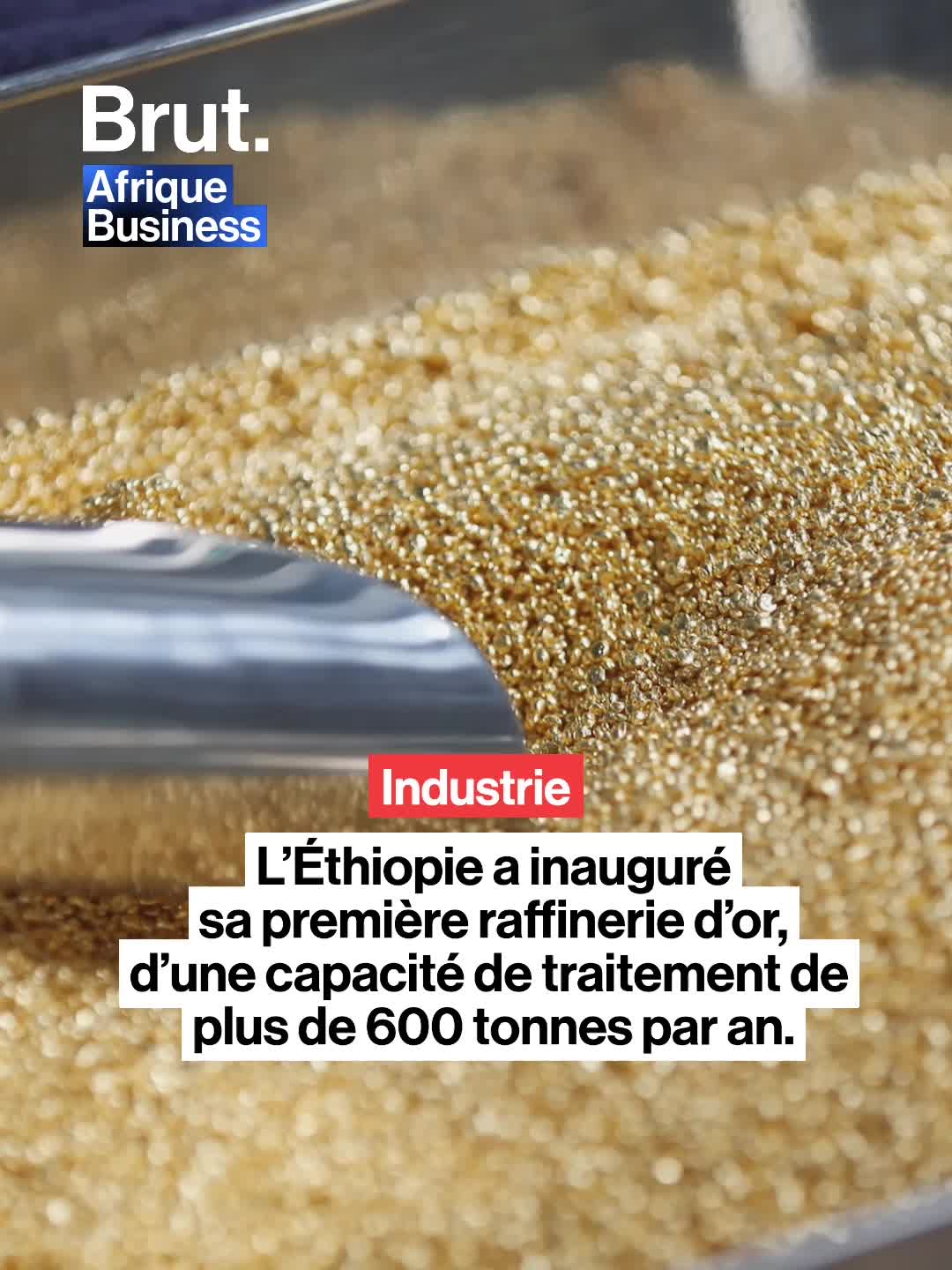 @Brut. Afrique