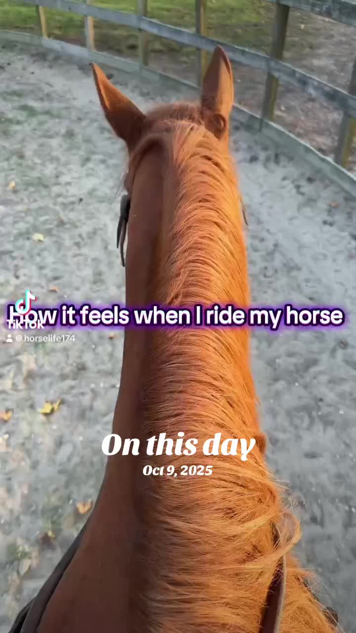 @Horselife