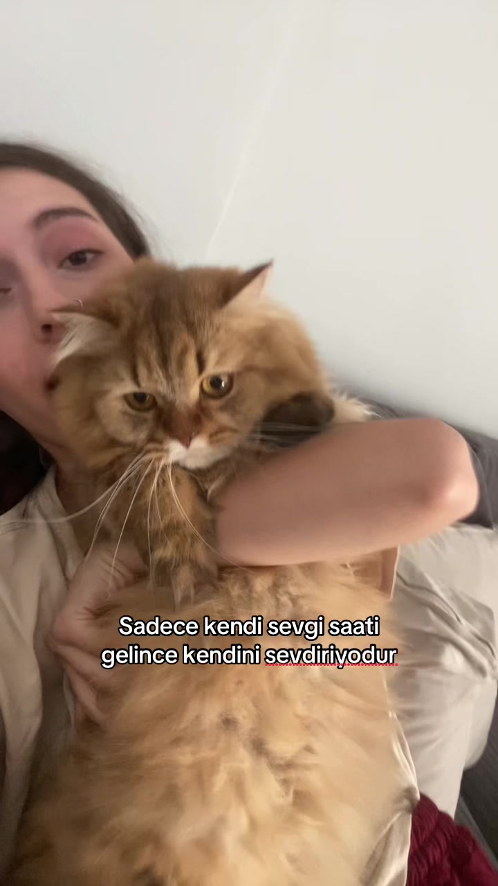 @Şeyma