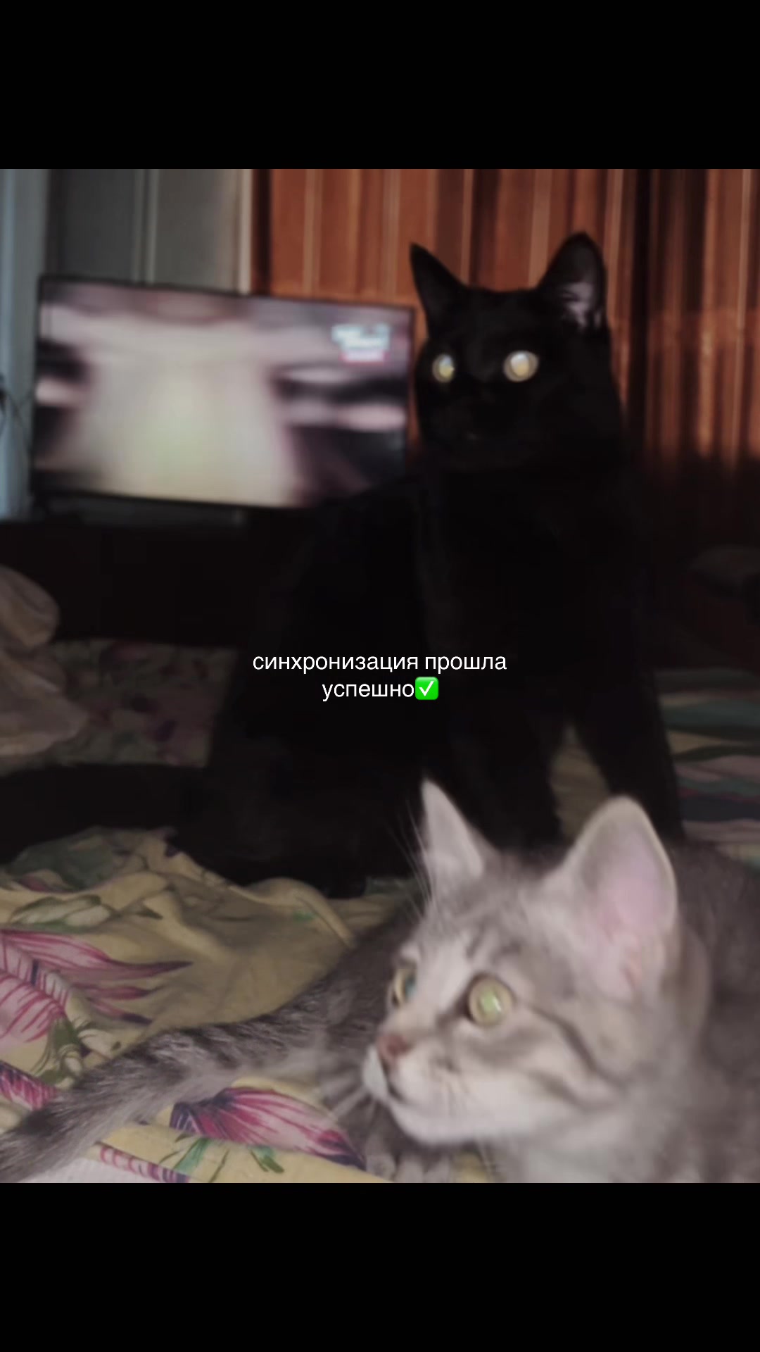 @настюша