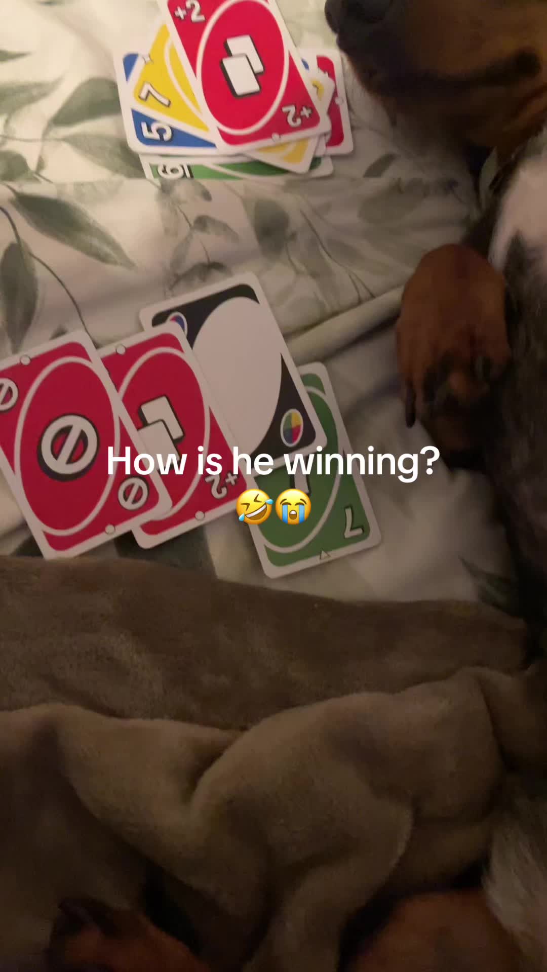 @x_xbitc2