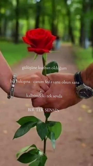 @peçeli
