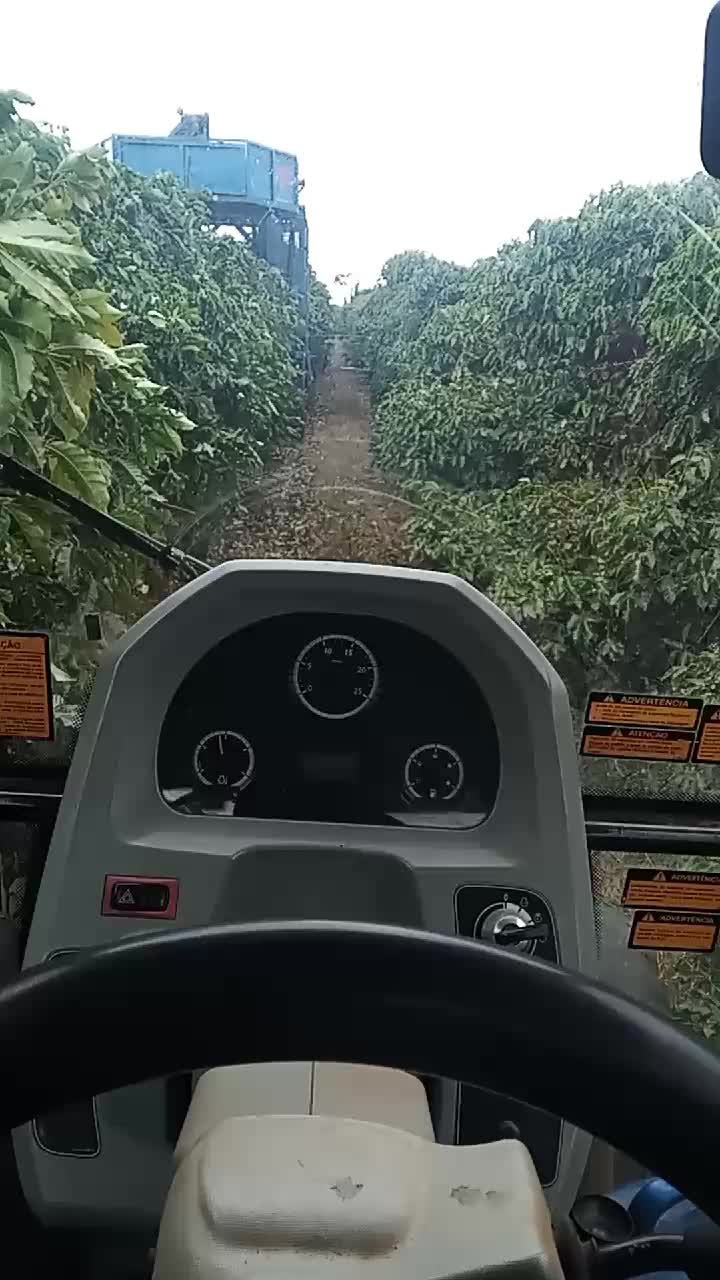 @joaopaulorodri731
