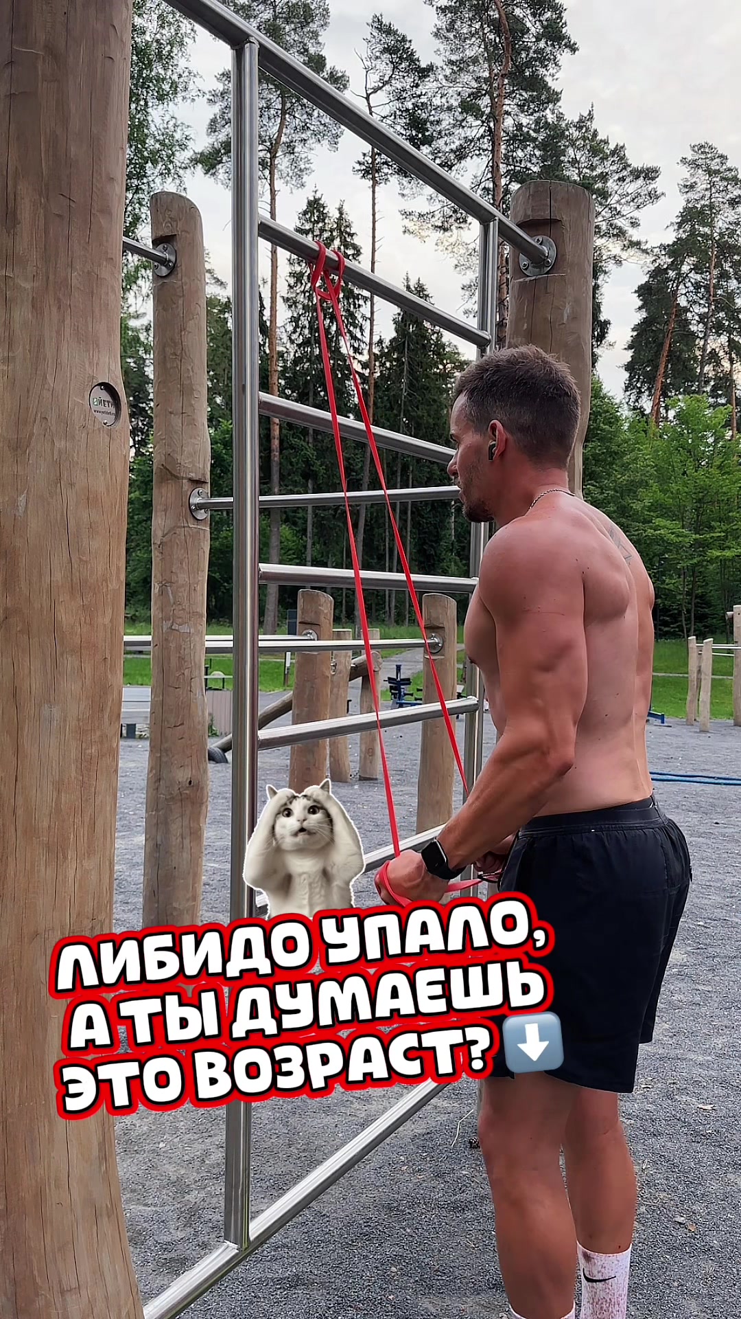 @Artem Shvaykovsky