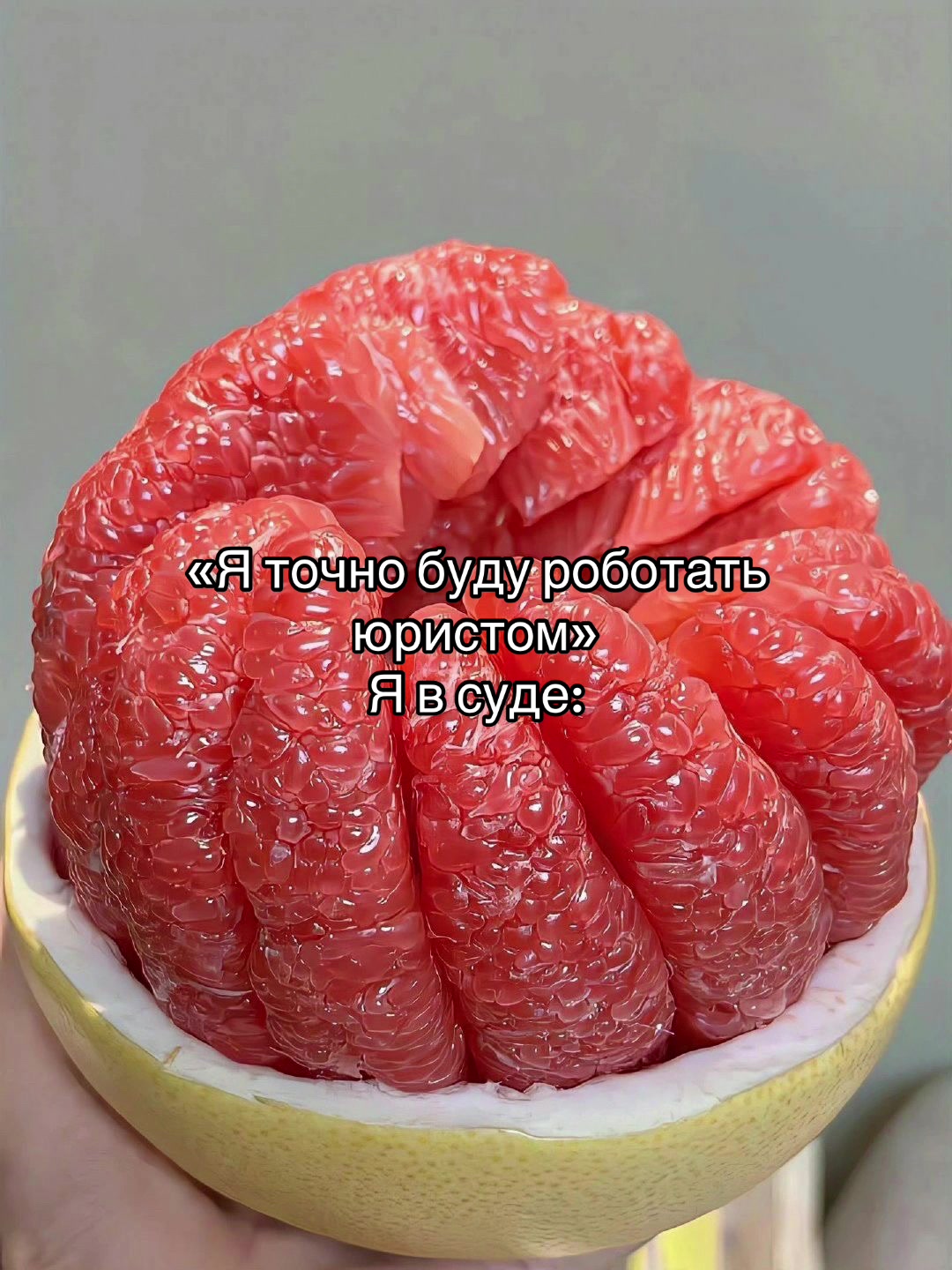 @𝘾𝙝𝙚𝙚𝙨𝙚𝙘𝙖𝙠𝙚(!)