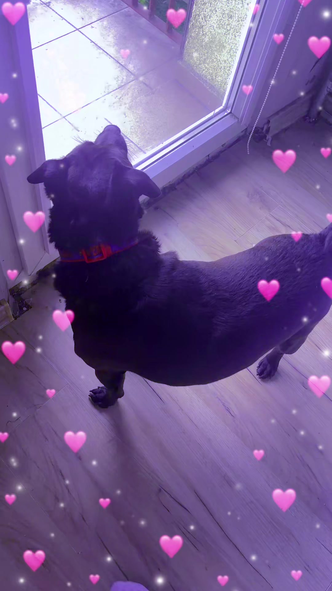 @💋🫶 Karolina 😈Marchwacz🐶🐱