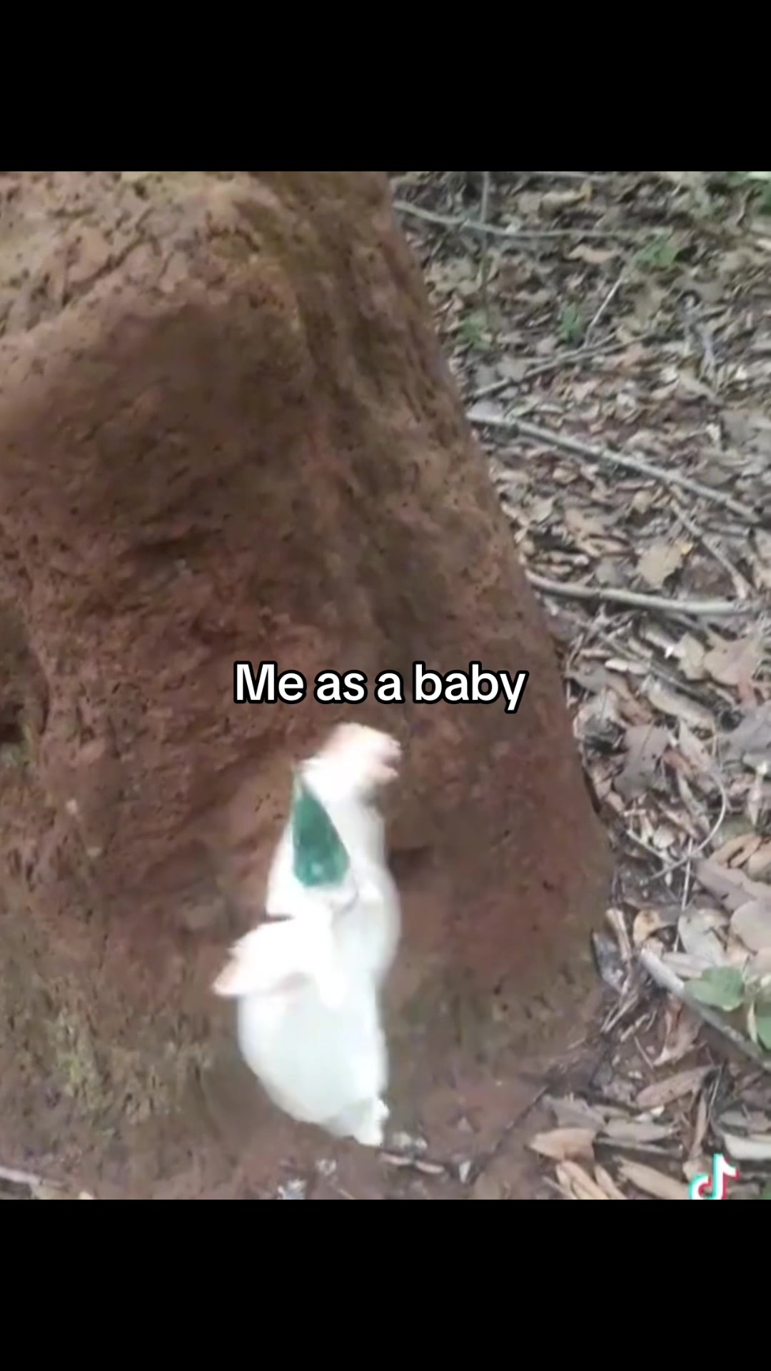 @ELISE