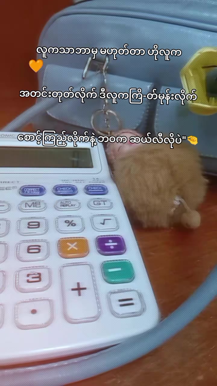 @🪷 紅蓮_爱 🪷