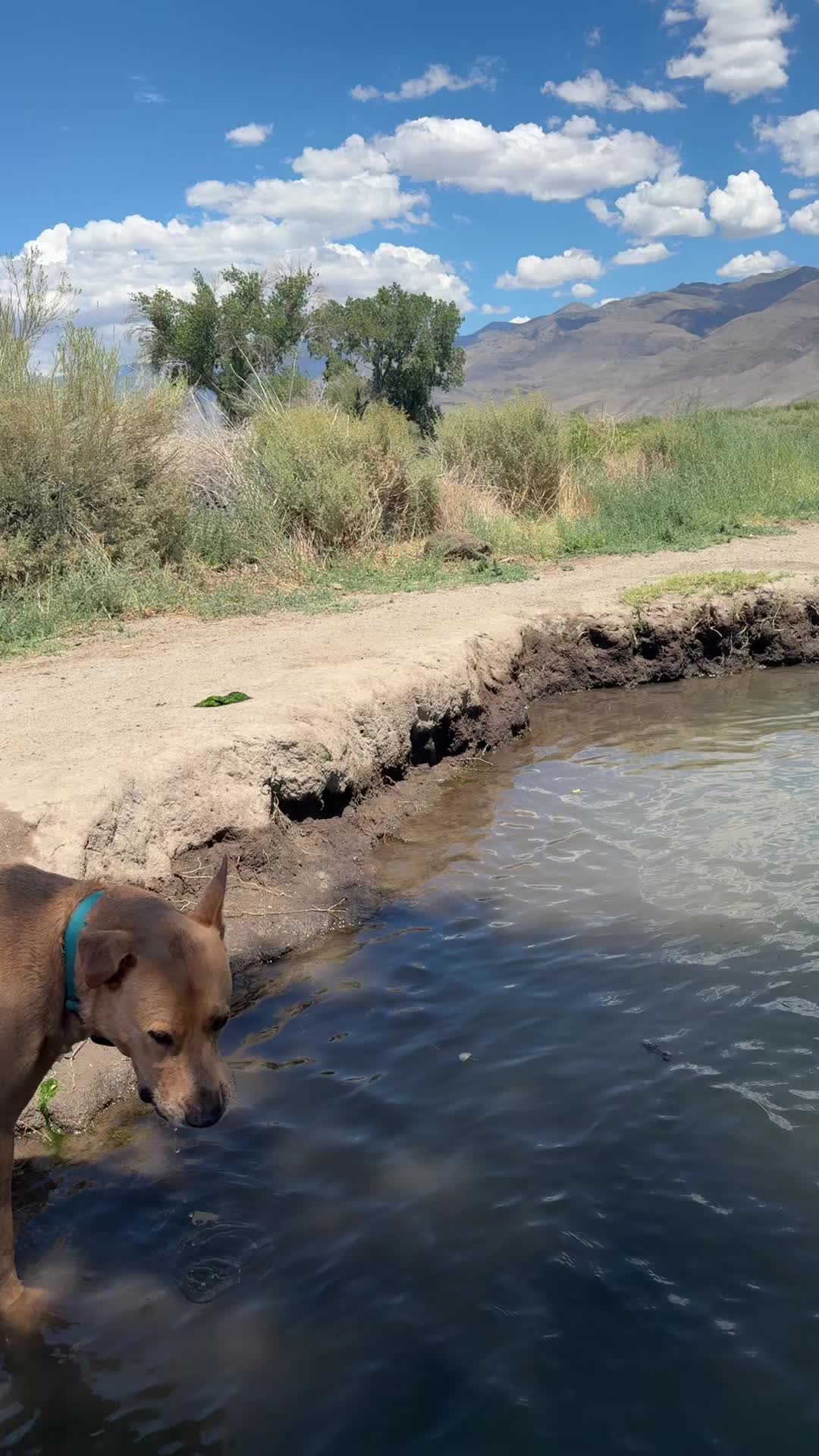 @Adventuresofmaxxandsandie