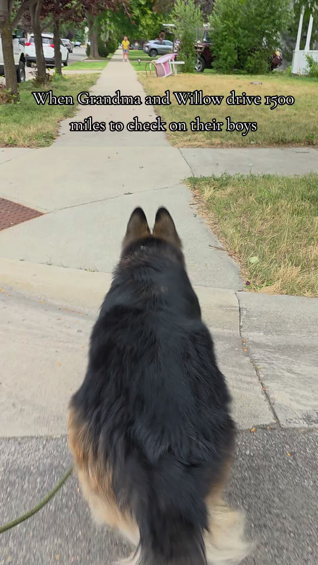 @Those_3_sheps