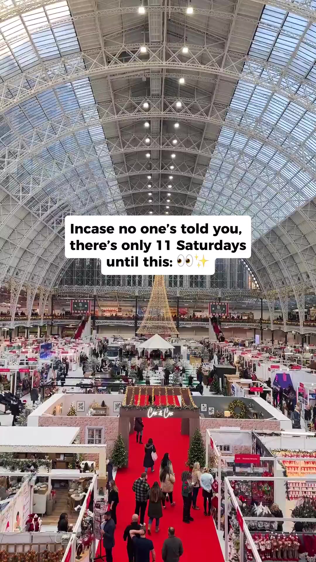 @The Ideal Christmas Show