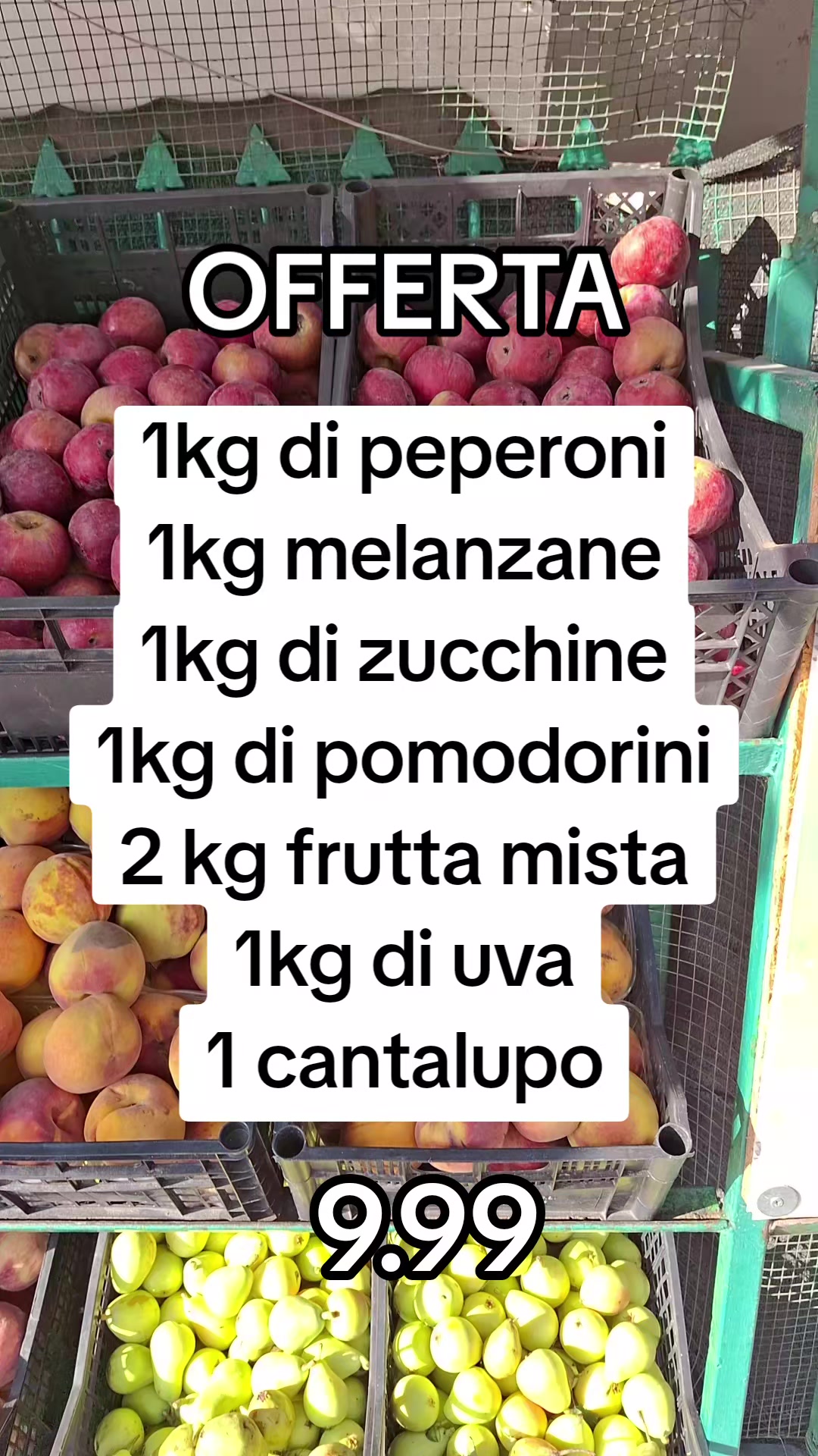 @stefy