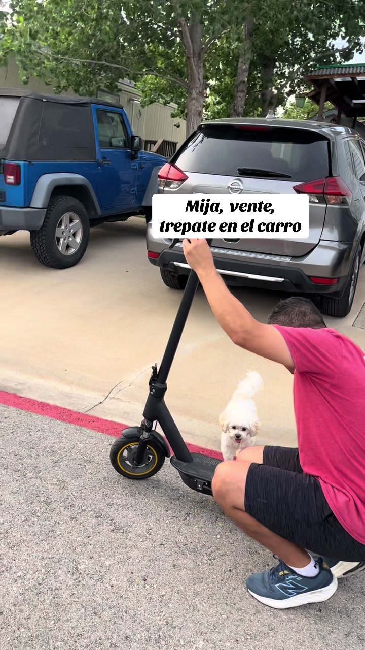 @AZUL🐶🥰