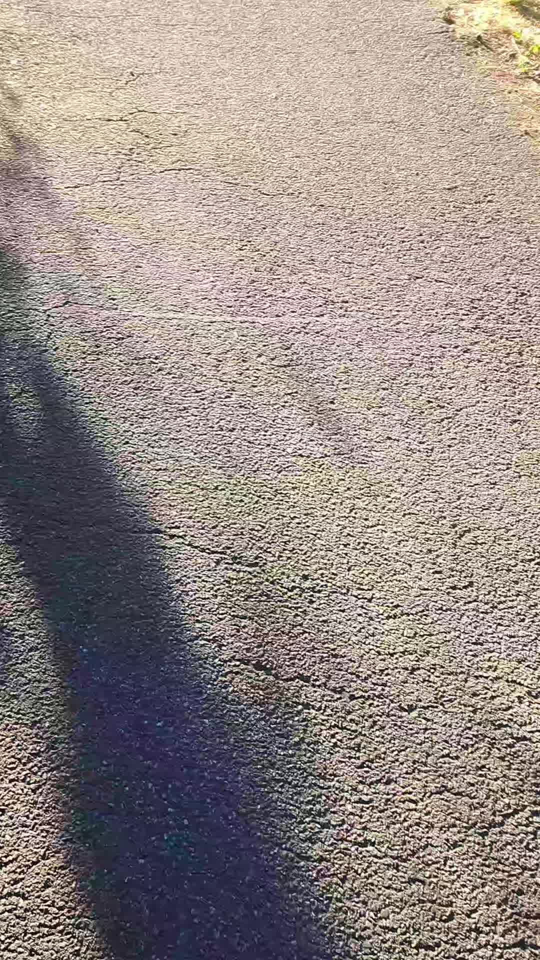 @Frostmeulchen 🌻🎗♾️