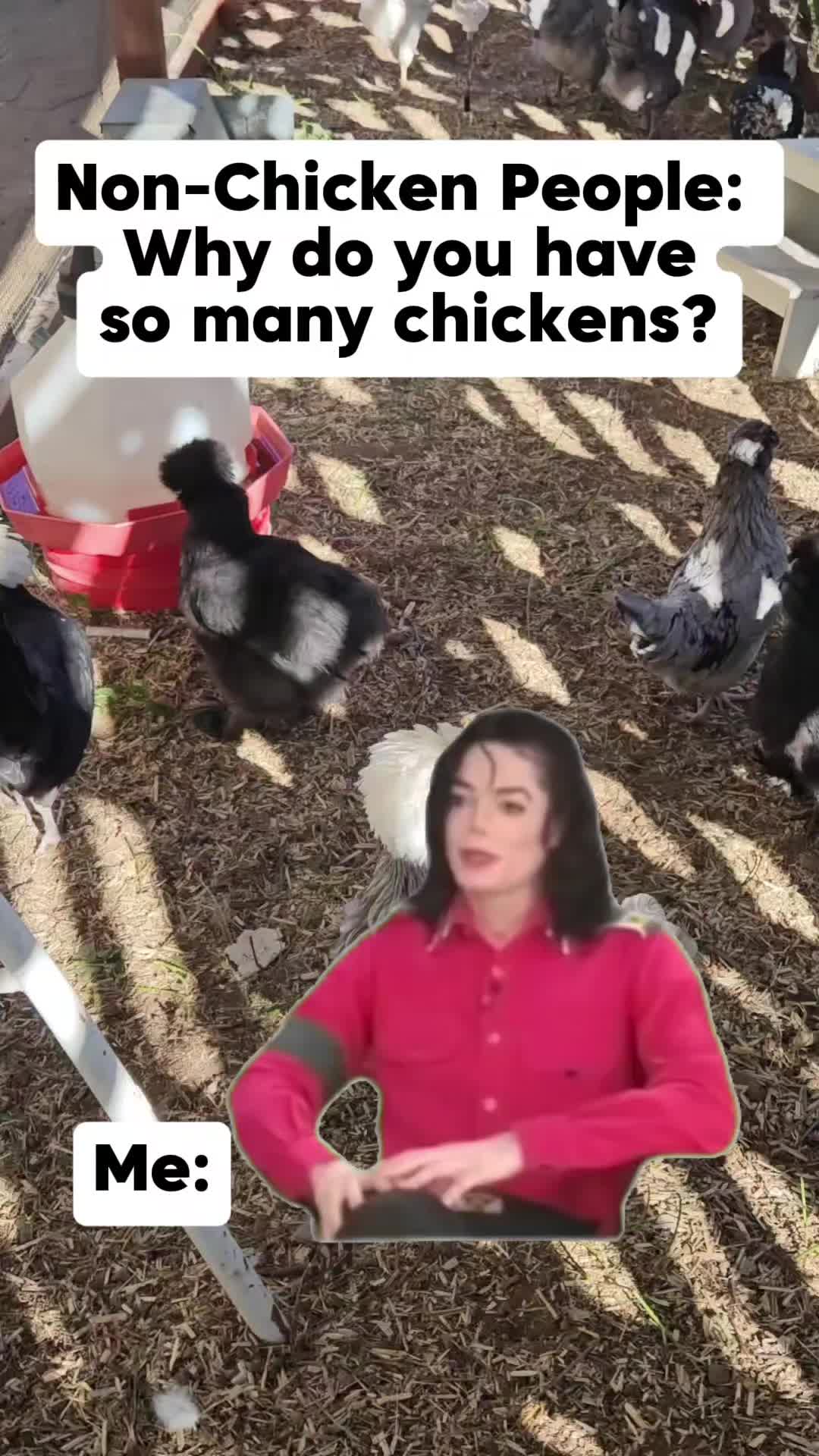 @The Ten Hens
