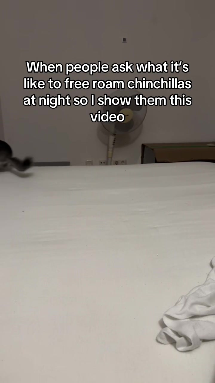 @BANDIT & STRIPE