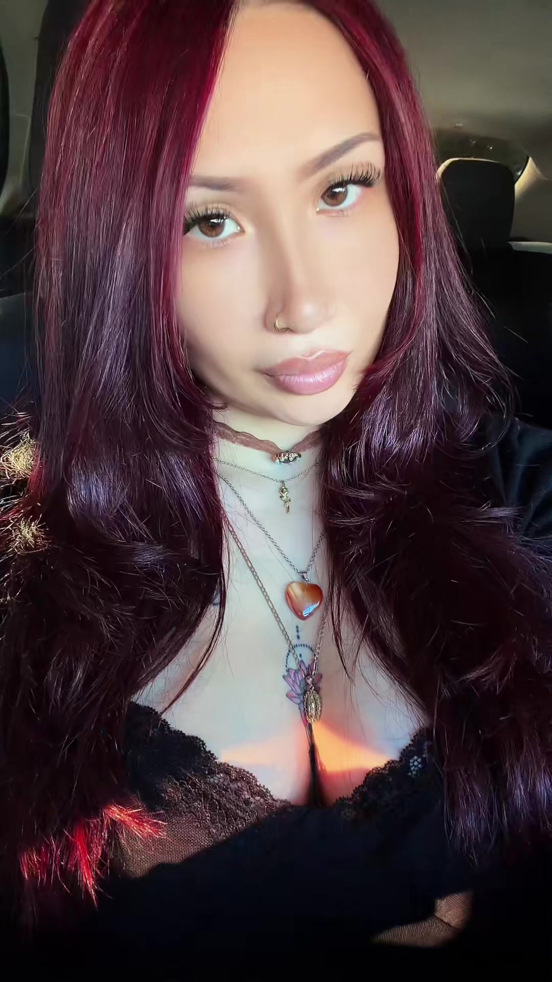 @⋆.˚🦢⋆ ༄