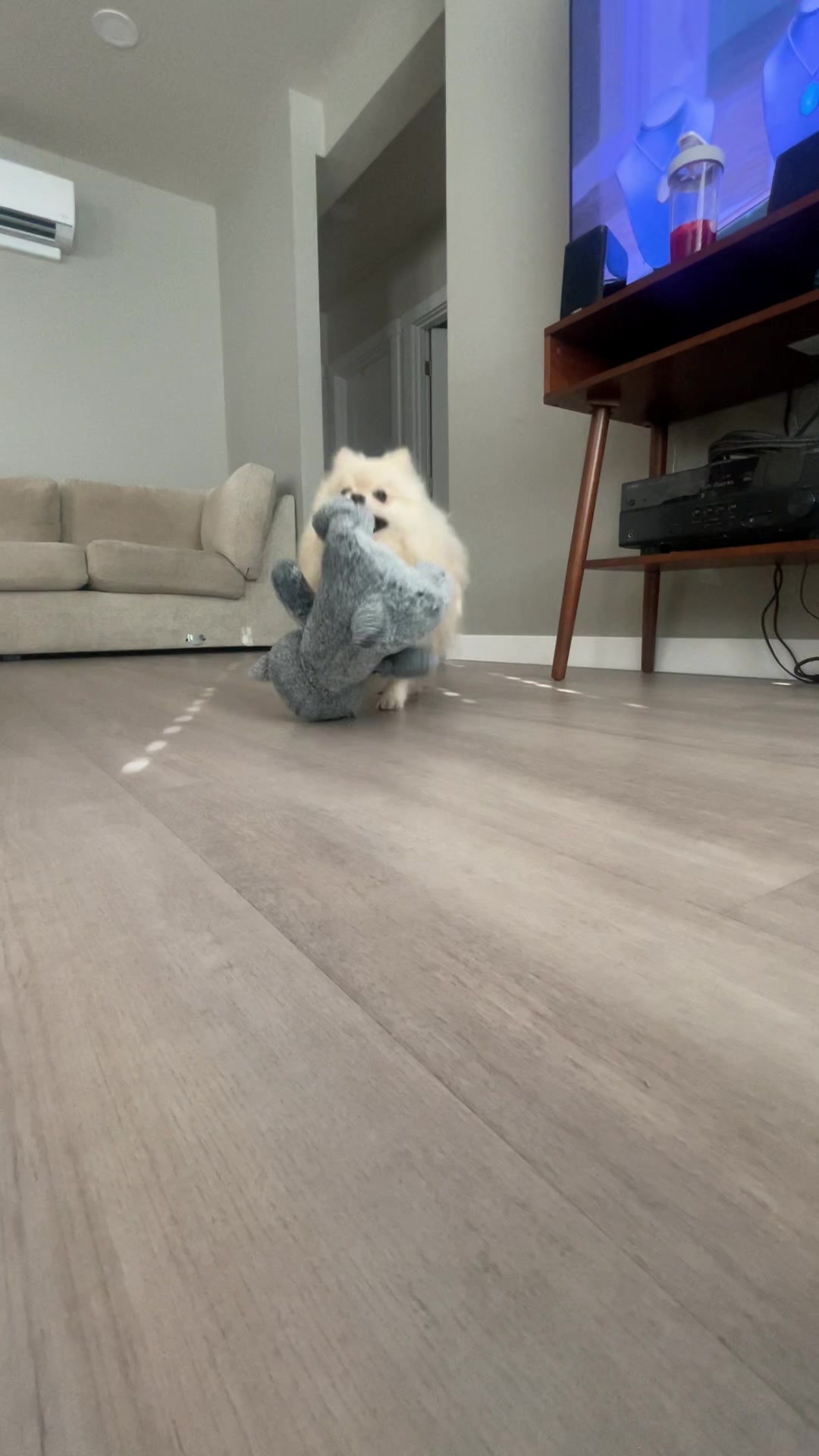 @beingmilothepom