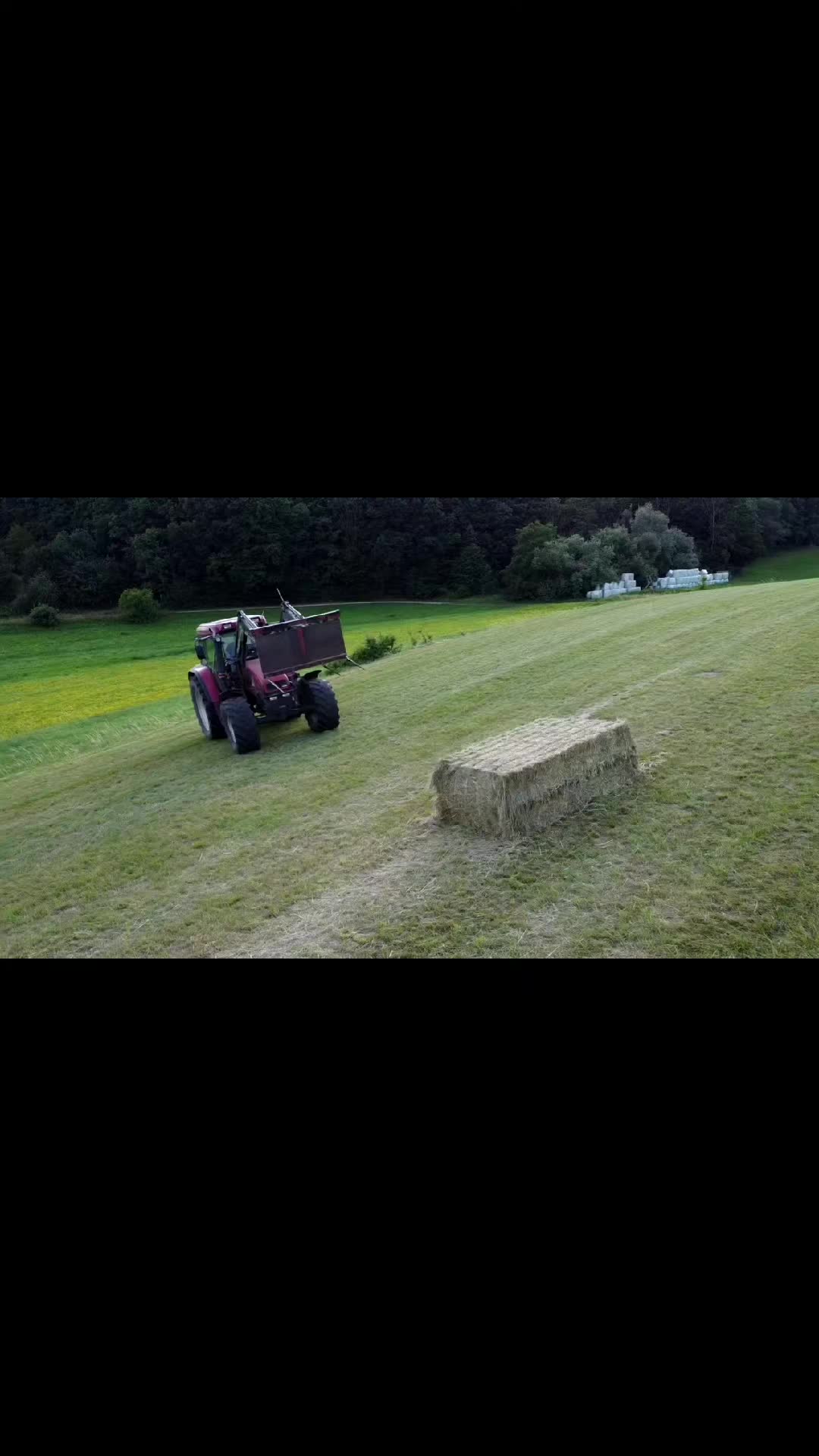@Bauer Richter 🐱🚜