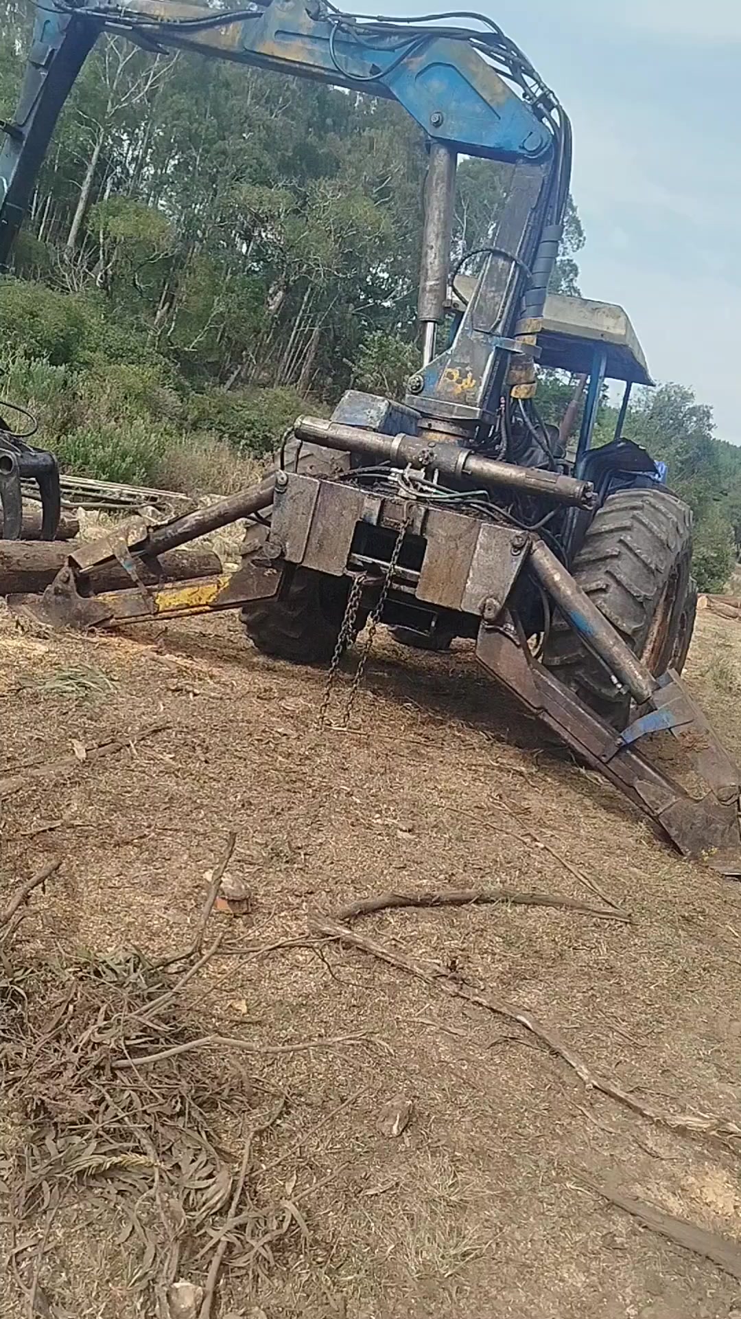 @Daniel Soares 🌲🚜